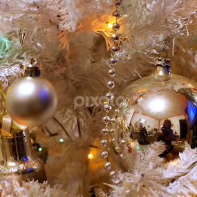 by Branka Radmanić - Public Holidays Christmas