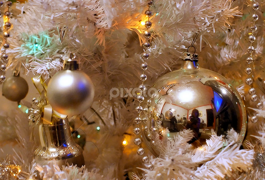 by Branka Radmanić - Public Holidays Christmas