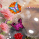 Butterflies Paradise