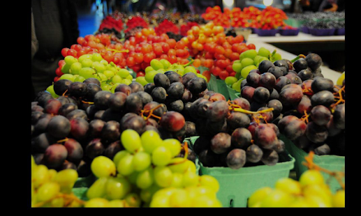 download Musical Slideshow Premium free