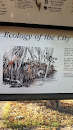 Ecology of the City Information Board