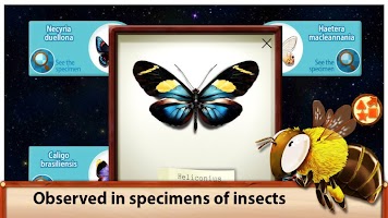 Sky Insect Buddies(FREE) APK Ekran Görüntüsü Küçük Resim #6