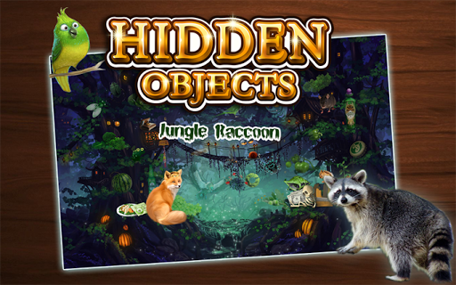 Hidden Object - Jungle Raccoon