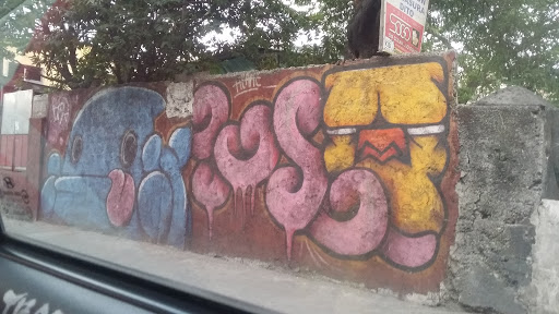 San Jose St. Graffiti   