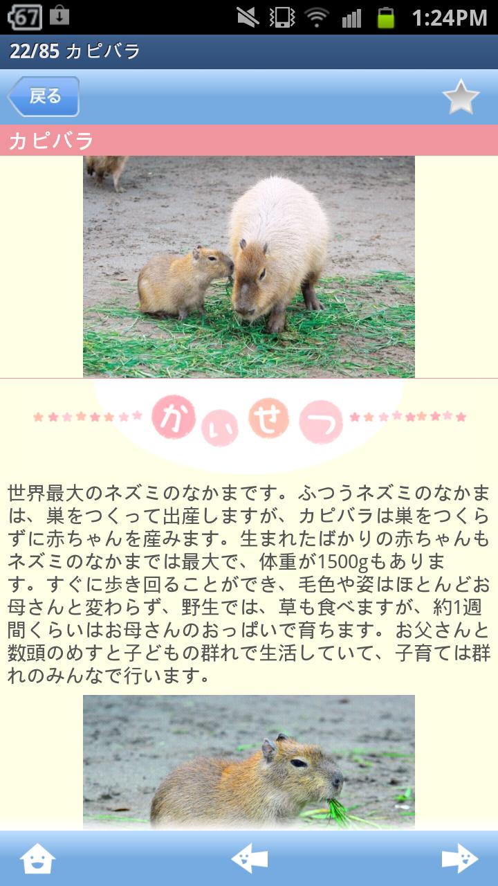 赤ちゃん動物図鑑100 Screen 3