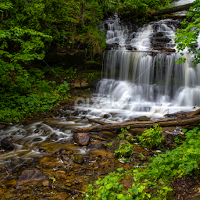 Wagner Falls by Flora Ehrlich - Landscapes Waterscapes