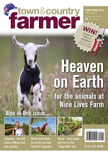 Free Download Town & Country Farmer APK for Android