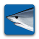Release Mako