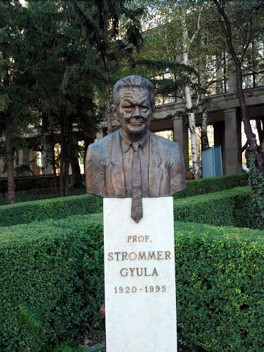 Prof. Strommer Gyula