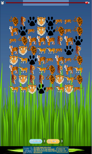 Tiger Game for Kids