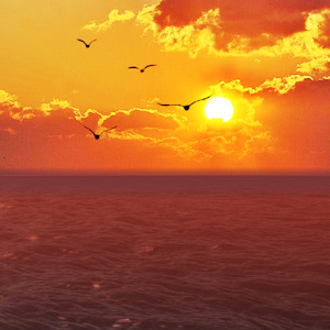 Ocean Wave Time Change 3D Live logo