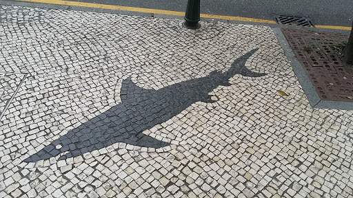 Shark Tile at Central