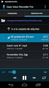 Easy Voice Recorder Pro - screenshot thumbnail