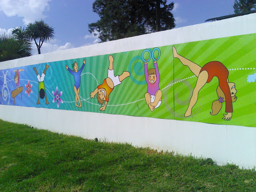 Centurion Gymnastics Mural