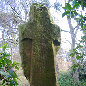 Braes Loan Trail 2.2