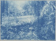 Meetkamp in oerbosch