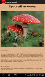 Nastolnaya mushroom book free poster 12