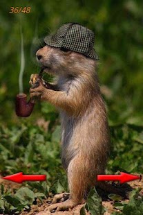 How to download Funny Images 1.0 mod apk for bluestacks