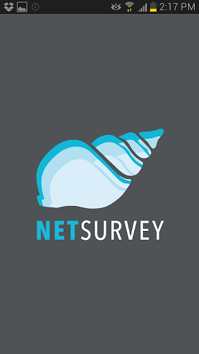 NetSurvey