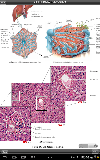 【免費醫療App】Anatomy and Physiology-APP點子