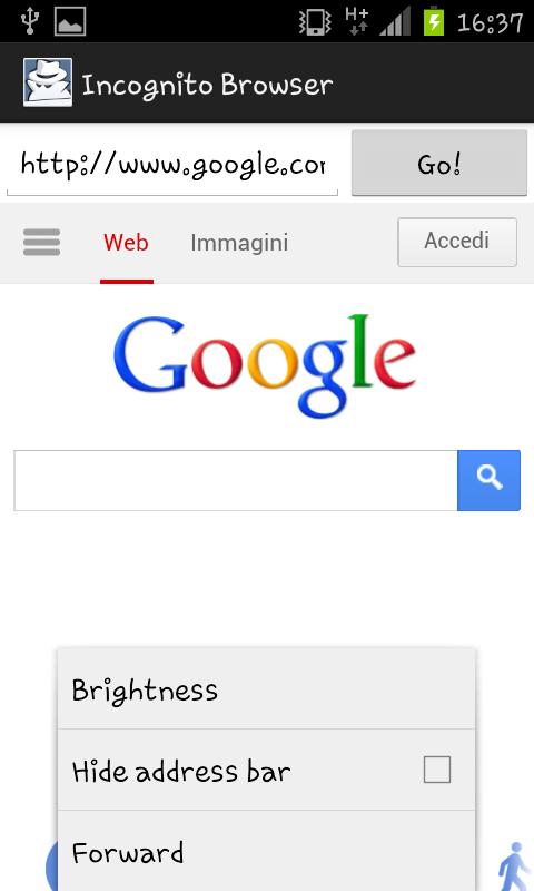 Incognito Browser Screen 1
