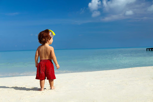 A beach on Aruba with a very young visitor.