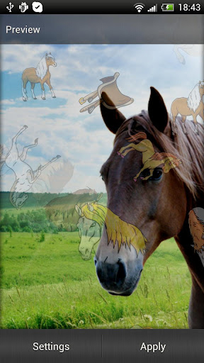 Horse Live Wallpaper