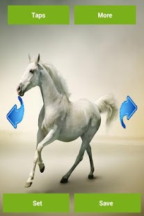 Horses Wallpapers Screenshots 6