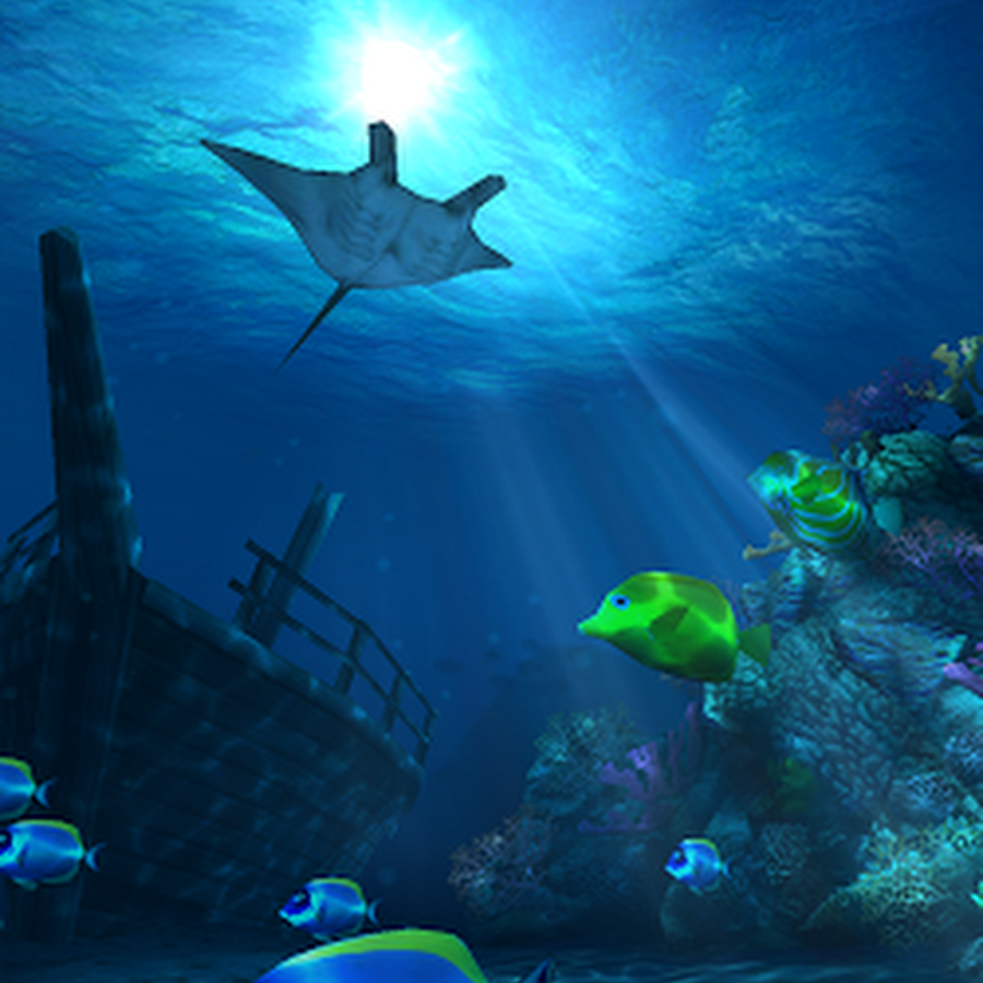 Live Wallpaper Iphone 11 Ocean : Get the beautiful live wallpapers from iphone 6s as still wallpapers.