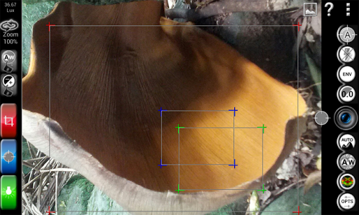 EMC Camera Evaluation