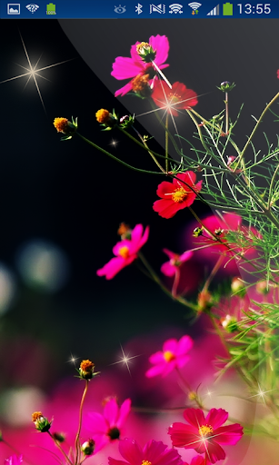 Little Flowers Romantic HD