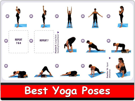 Yoga Basics