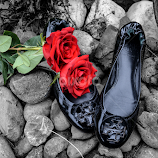 TB Flats by Jeanne Knoch -  