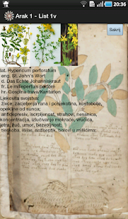 Voynich manuscript