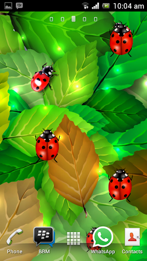 Ladybug Garden LWP