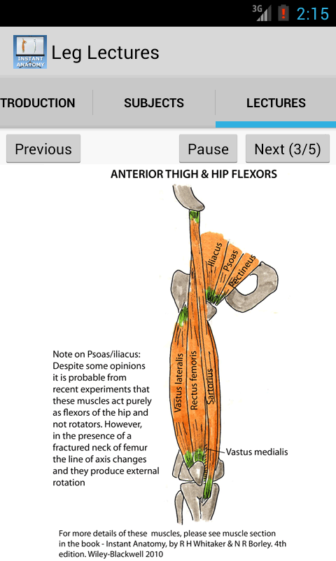 Anatomy Leg Lectures Screen 2