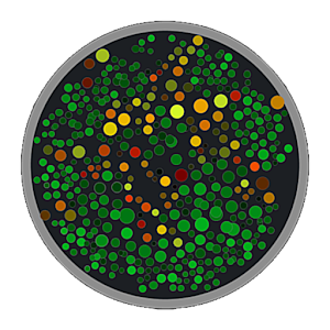 Dhish logo
