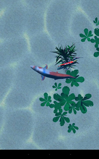 【免費個人化App】Koi pond 3D-APP點子