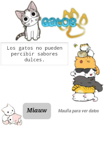 Gato Datos