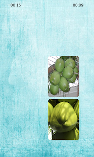 Download Coconut Matching APK for Android