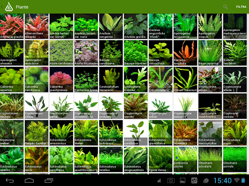 免費下載生活APP|HyPlants Aquarium Plants app開箱文|APP開箱王