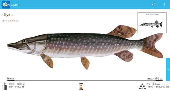 Риби України Screenshots 5