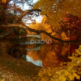 Autumn, Vanderbilt Mansion, Hyde Park, NY. by John Hayes - Landscapes Travel