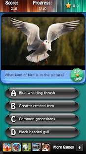 Bird Species Quiz HD Screenshots 0