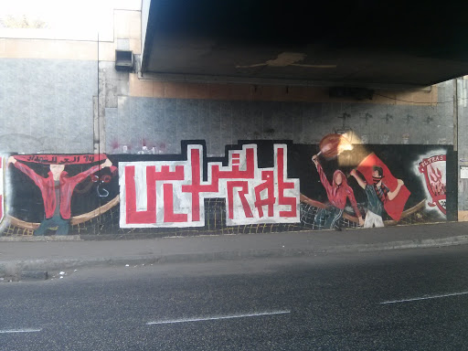 Ultras Ahlawy Graffiti