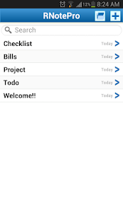 R Notes Pro Notepad Notes