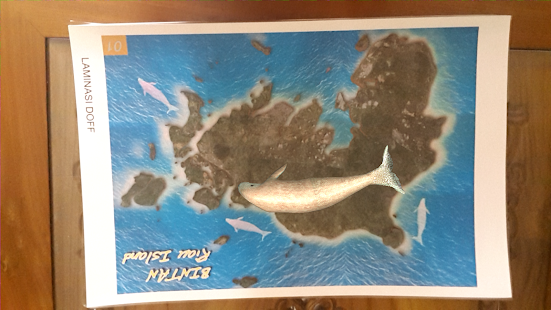 Free Download Amazing Bintan AR APK for PC