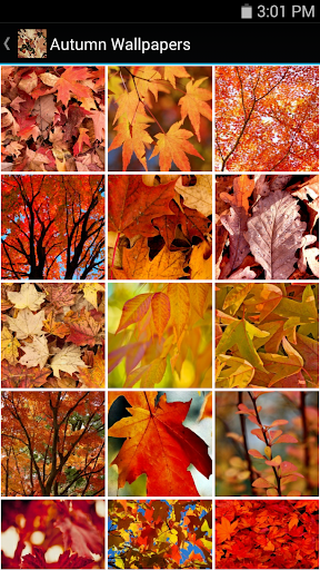 【免費生活App】Autumn Wallpapers-APP點子