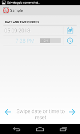 DateTime Pickers poster 8