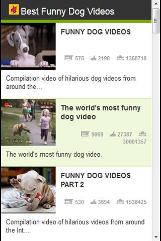 Best funny dog videos